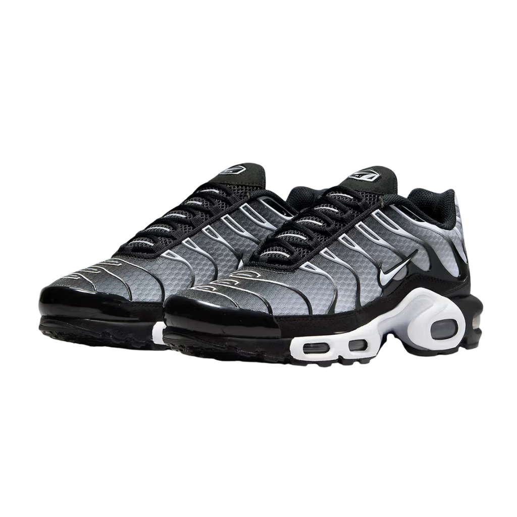 Nike Air Max Tn Metalic Silver