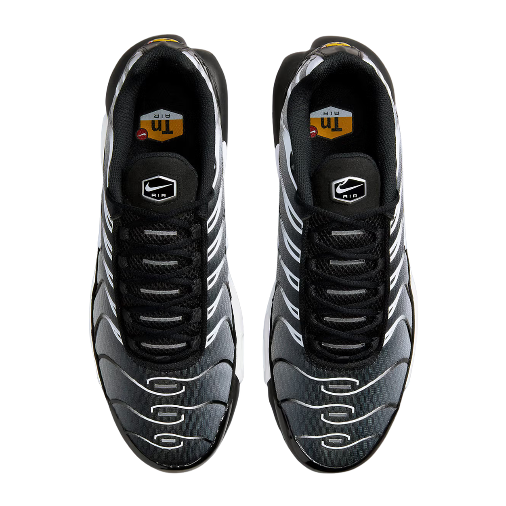 Nike Air Max Tn Metalic Silver